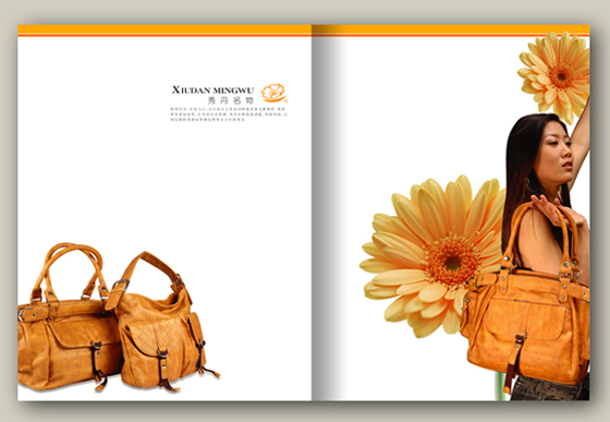 產(chǎn)品畫冊(cè)設(shè)計(jì)秀丹名物
