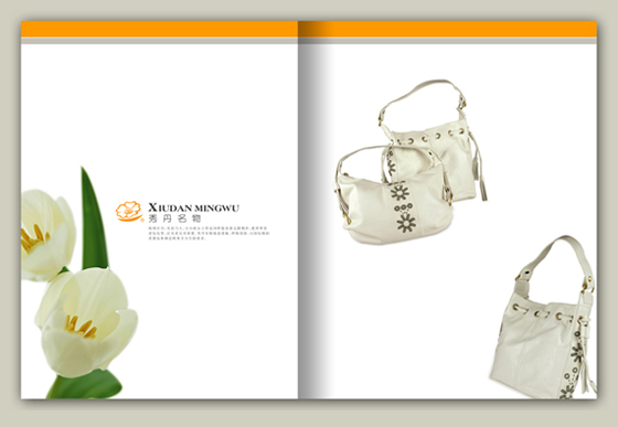 畫冊(cè)設(shè)計(jì)秀丹名物